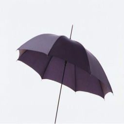 佳興傘業 產品 產品介紹 最新產品信息