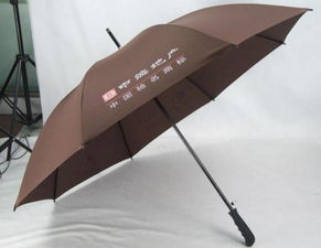 溫州藍雨傘業 精品雨傘高清圖片展示