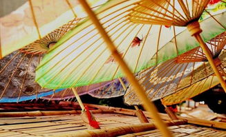 守藝┃福州紙傘 撐起雅致生活與傘業傳承