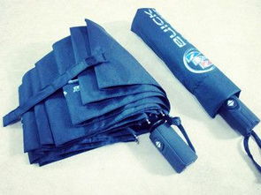 傘業 穿越風雨的匠心傳承與時代革新